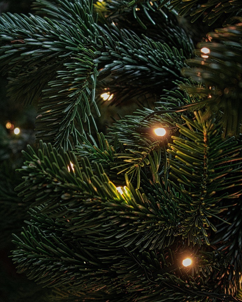 white christmas tree lights in christmas tree