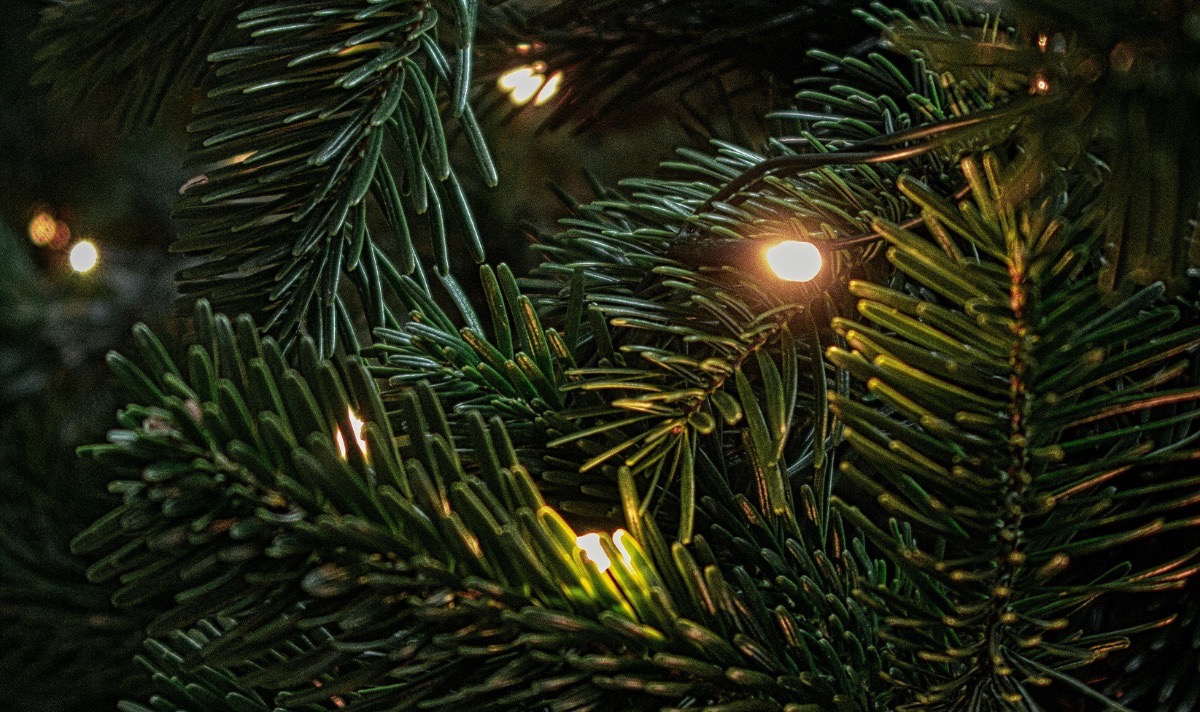 christmas lights in christmas tree